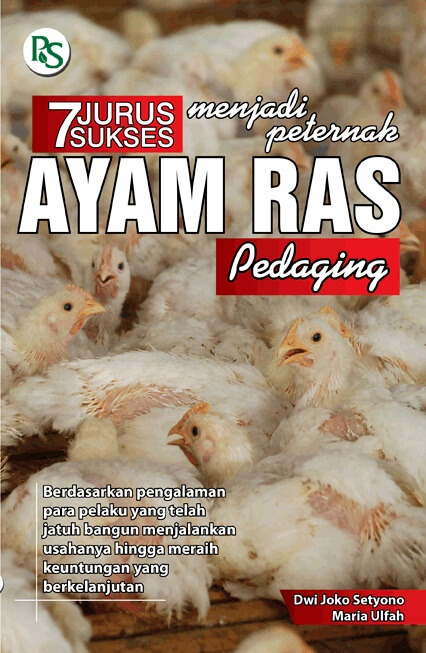7 Jurus Sukses Menjadi Peternak Ayam Ras Pedaging