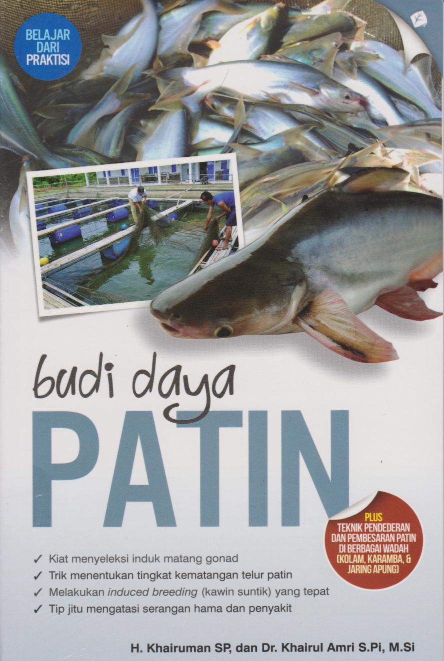 Budi Daya Patin 