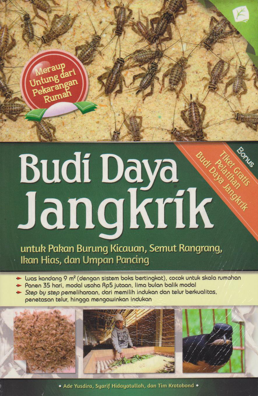 Budi Daya Jangkrik 