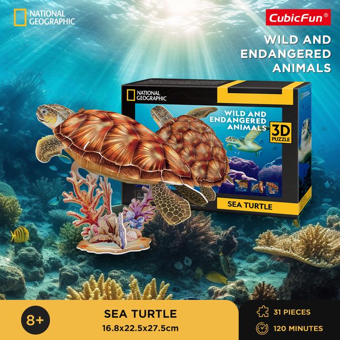 National Geographic Sea Turtle