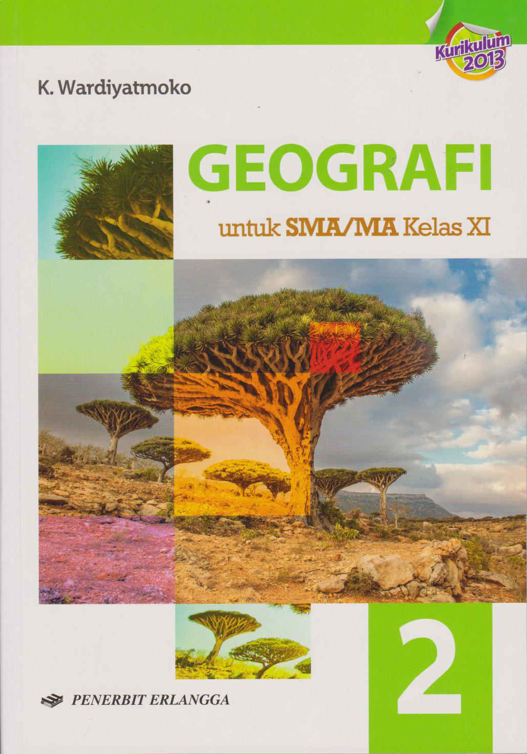 Geografi Sma Kls.xi/k2013 