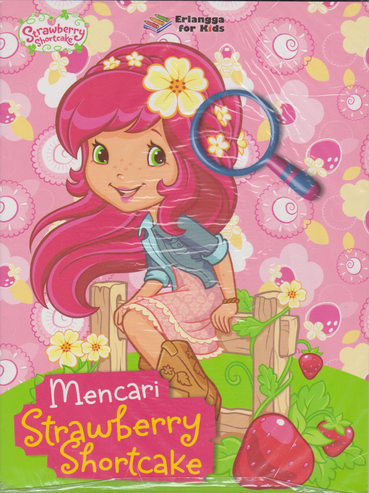Strawberry Shortcake: Mencari Strawberry Shortcake 
