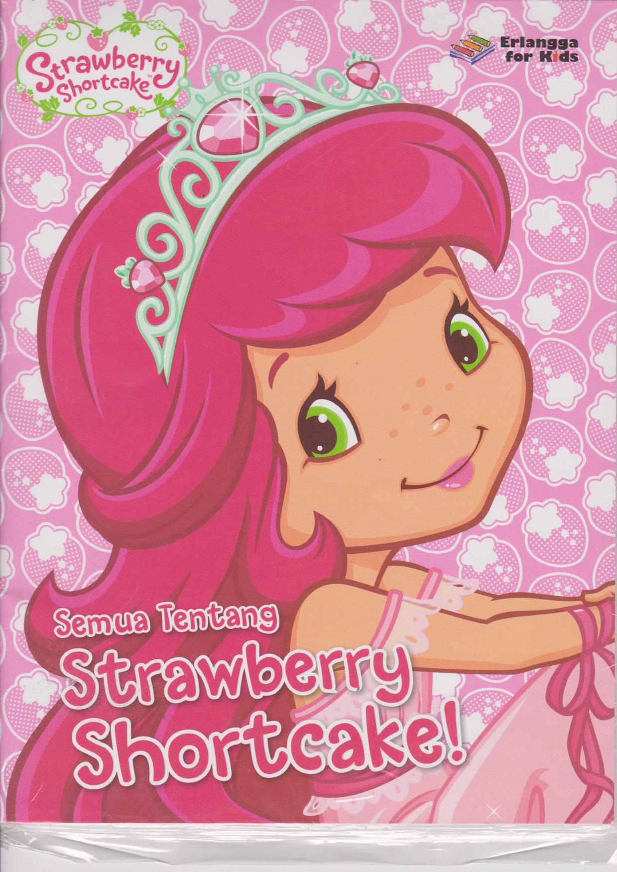 Strawberry Shortcake: Semua Ttg Strawberry Shortcake 