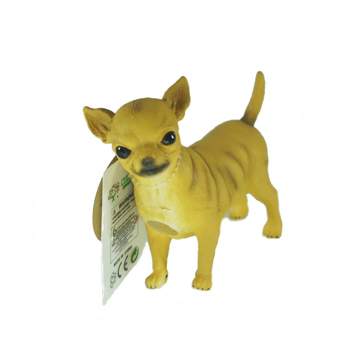 New Canna Anjing Chihuahua