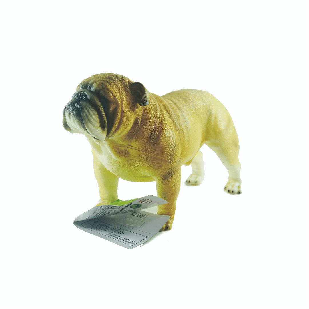 New Canna Anjing Bulldog