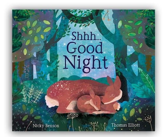 Shhh Goodnight (Hardback Picture Book)