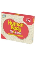 Flash Card: Human Body
