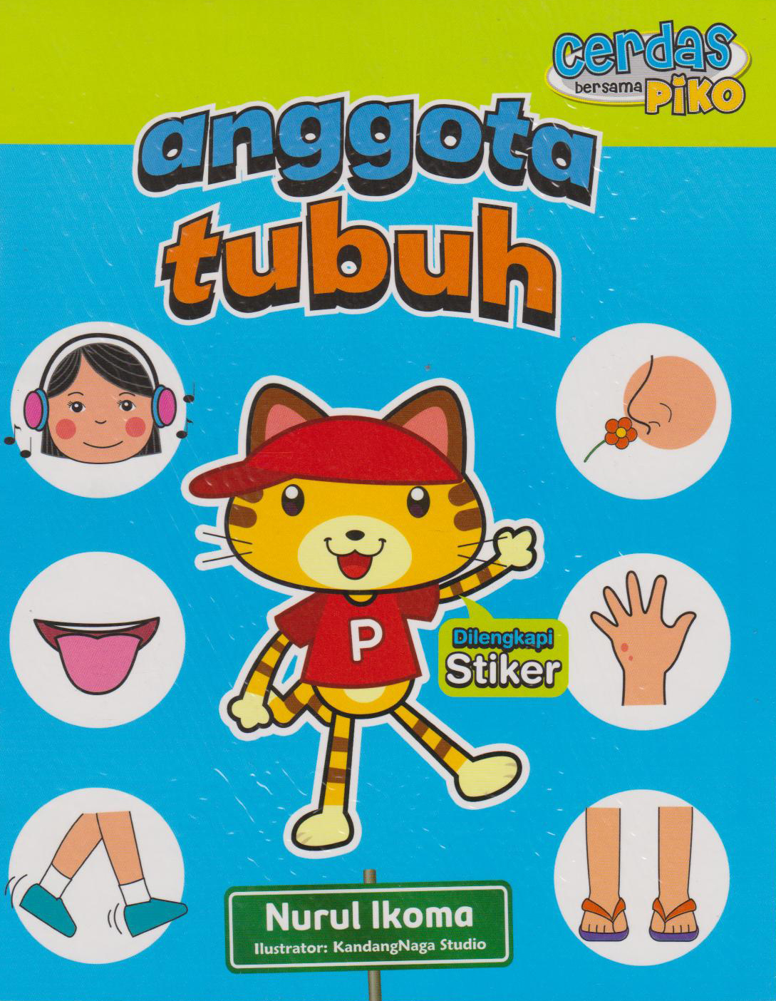Anggota Tubuh 