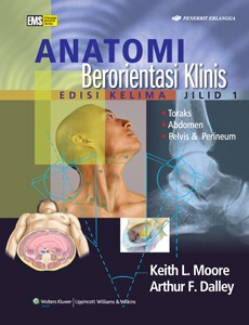 Anatomi Berorientasi Klinis Jl.1 / Moore