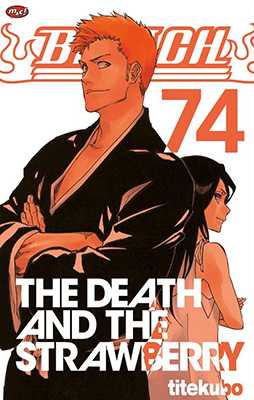 Bleach 74 - Tamat