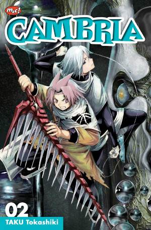 Cambria 02