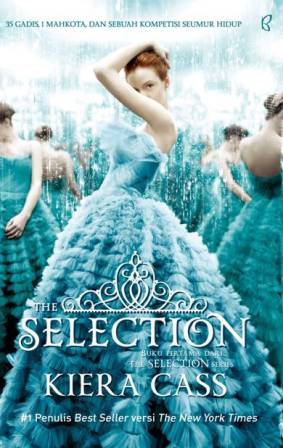 The Selection Series #1: The Selection