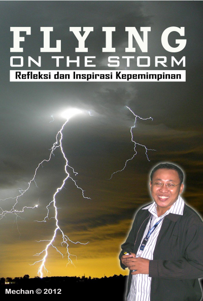 Flying On The Storm (Self Publishing)   