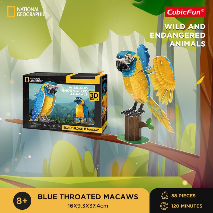 National Geographic Blue Throated Macaws