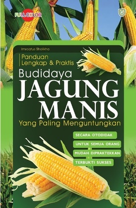 Panduan Lengkap Dan Praktis Budidaya Jagung Manis