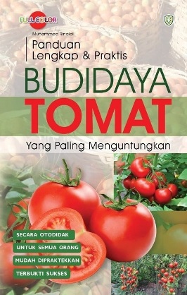 Panduan Lengkap Dan Praktis Budidaya Tomat