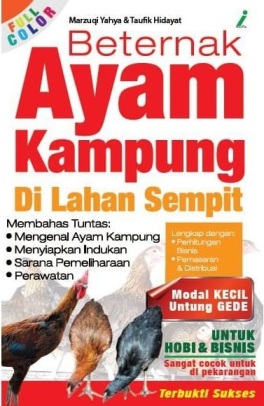 Beternak Ayam Kampung