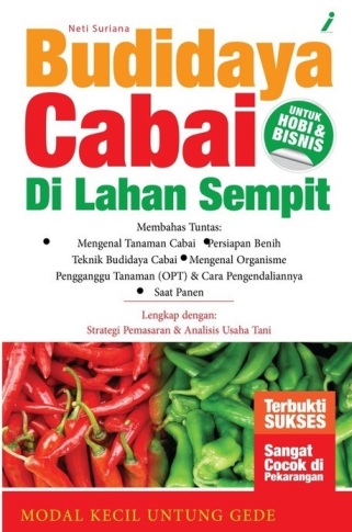 Budidaya Cabai Di Lahan Sempit