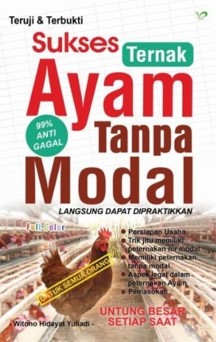 Sukses Ternak Ayam Tanpa Modal
