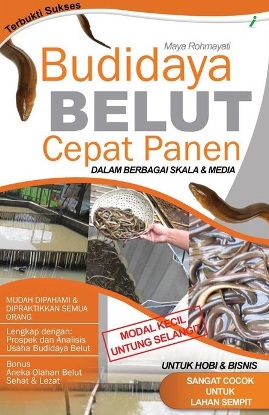 Budi Daya Belut Cepat Panen