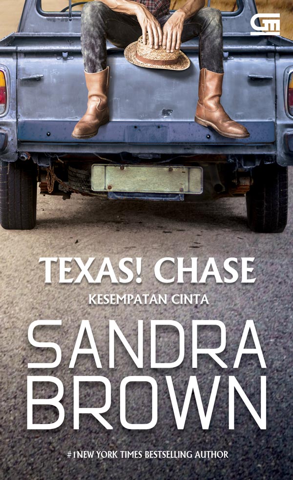 Kesempatan Cinta (Texas! Chase)