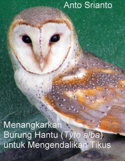 Menangkarkan Burung Hantu (Self Publishing)