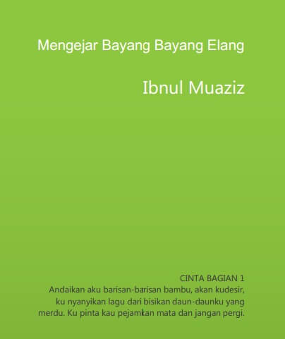 Mengejar Bayang-Bayang Elang (Ibnul Muaziz)