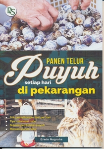 Panen Telur Puyuh Setiap Hari Di Pekarangan