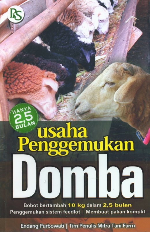 Usaha Penggemukan Domba